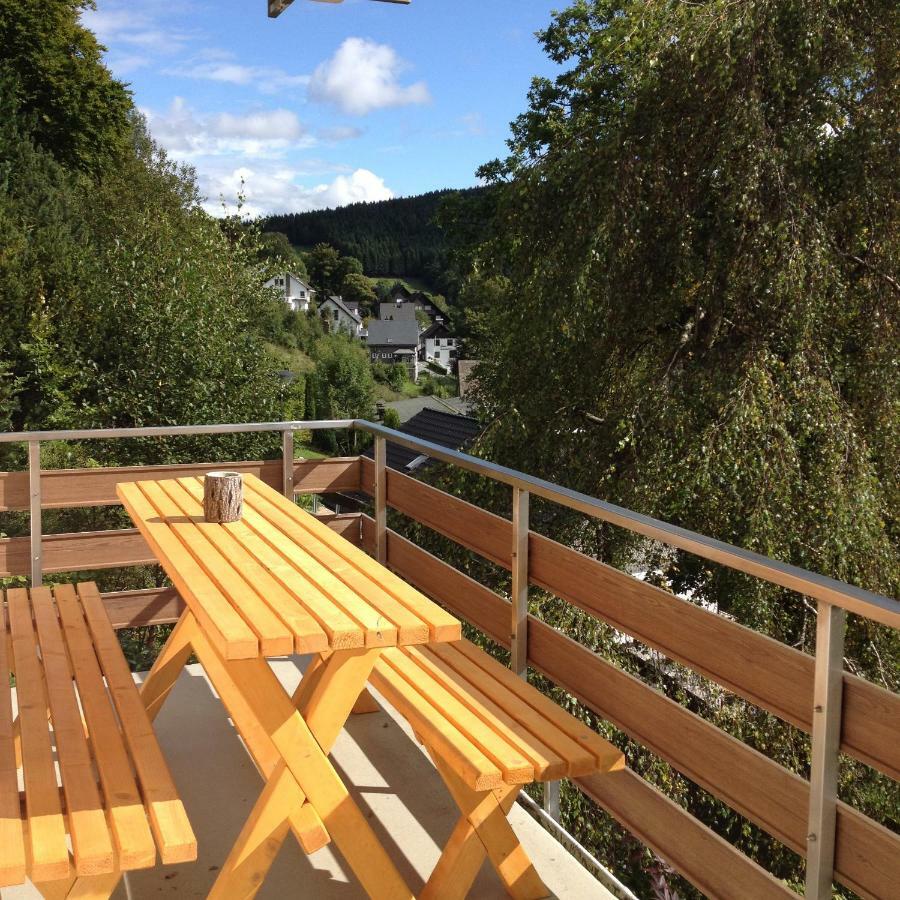 Appartementen Edel シュマレンベルク エクステリア 写真